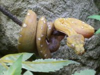 2010-08-04 21.41.03.jpg