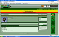 shawn heideman profile.jpg