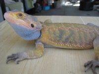 IMG_4673.JPG