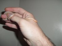 pics 034.jpg