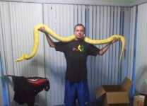 snake5.jpg