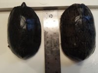 20131105_123714.jpg