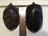 20131105_123637.jpg