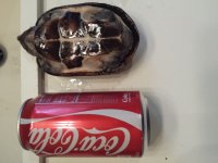 20131105_123908.jpg