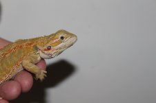 IMG_7666.jpg