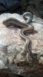 2013-10-06_14-48-39_250.jpg