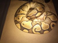 IMG_20130831_105713.jpg