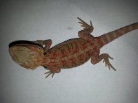 20131121_134551.jpg