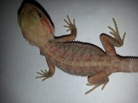 20131121_135150.jpg