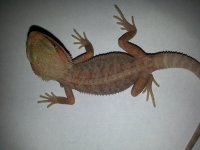 20131121_135142.jpg