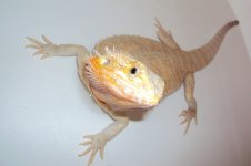 DSC05407.jpg