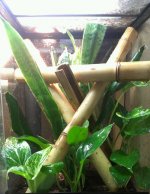 IMAG6347-1.jpg