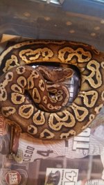 IMG_20130827_184326_488.jpg