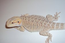 DSC05456.jpg