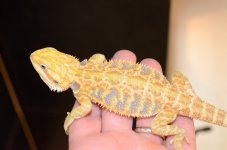 DSC_2472.jpg
