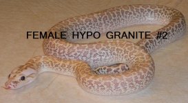 FEMALEHYPOGRANITE2.jpg