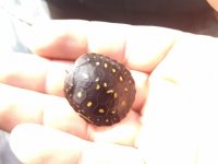 IMG_20131102_112931_334.jpg
