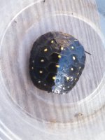 IMG_20131102_101643_040.jpg