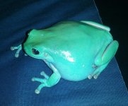 IMG_20130928_194155.jpg