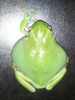 IMG_20130928_194108.jpg