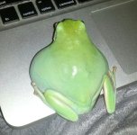 IMG_20130928_194219.jpg