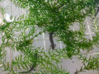 20130921_111725.jpg