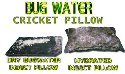 pillow1v22.jpg