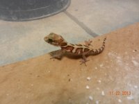 baby pictus 3 004.jpg