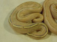 DSCN3531.jpg