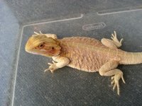 20131019_190830.jpg