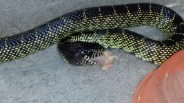 20130914_194947.jpg