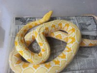 20130823_112734.jpg