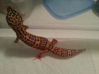 cell phone pics 2013 261.jpg