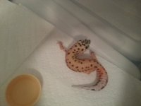 cell phone pics 2013 251.jpg