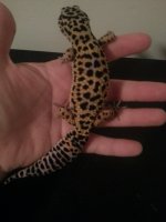cell phone pics 2013 286.jpg