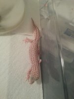 cell phone pics 2013 244.jpg