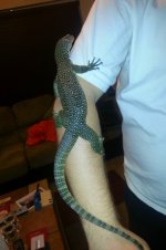 20130328203240123.jpg