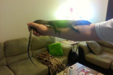 20130328203221225.jpg