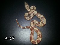 20130726_214712-picsay_zps49748cba.jpg