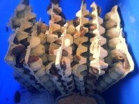 20131109_111047.jpg
