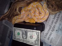20130920_003032.jpg