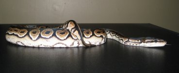 CinnyM2100413c.jpg