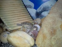 20130828_115633.jpg