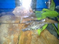 20130828_115626.jpg