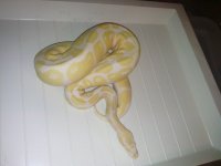IMG_20130803_204551_165.jpg