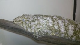 173.jpg 173.jpg