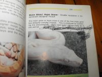 snakes 167.jpg