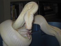 bones 372.JPG