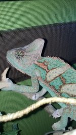 IMG_20130816_100907_334.jpg