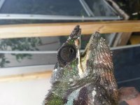 20130909_175446.jpg